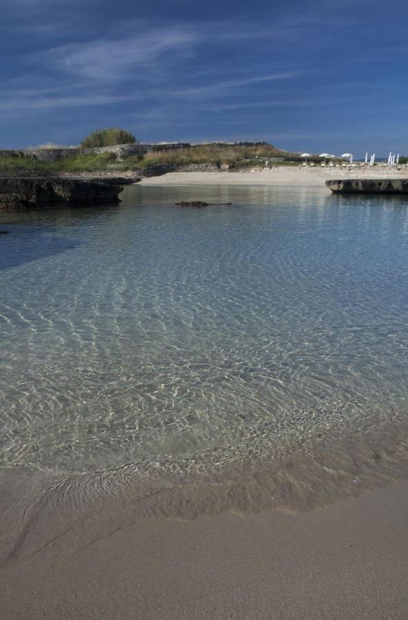 Vacanze In Puglia 佩兹迪格雷科 外观 照片